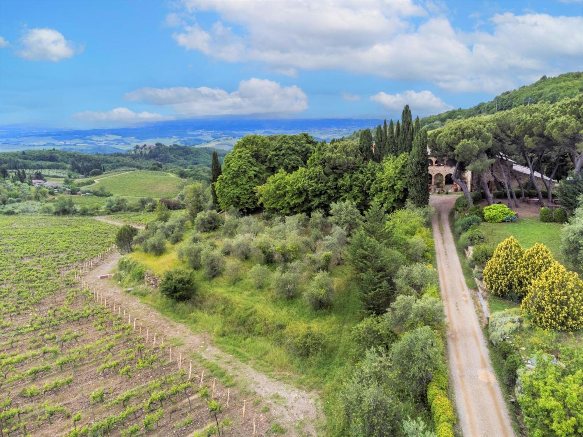 Apartment Cellole - Cellole 1 - Ctc150 By Interhome Castellina in Chianti Exterior photo